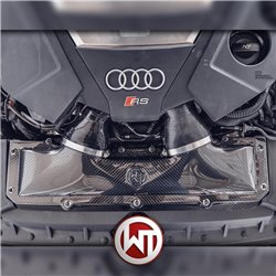 Audi RS6 4,0TFSi V8 C8 Wagner Tuning Kolfiber insugskit (med BMC sportluftfilter)